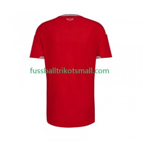 Fußballtrikots Wales 2026 Kurzarm Heimtrikotsatz kaufen